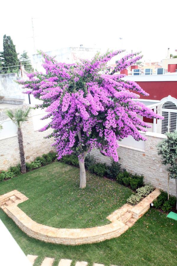 Villa Pina Bari Bagian luar foto